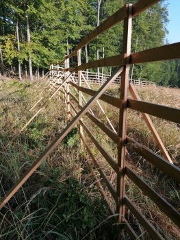 Zlepšenie stavu druhov a biotopov európskeho významu v lesných ekosystémoch vybraných chránených území
