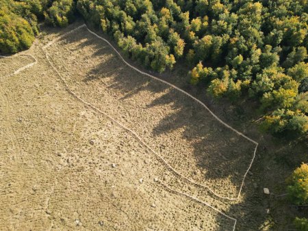 Zlepšenie stavu druhov a biotopov európskeho významu v lesných ekosystémoch vybraných chránených území