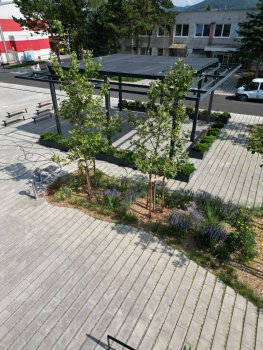 Vodozádržné opatrenia v obci Beluša